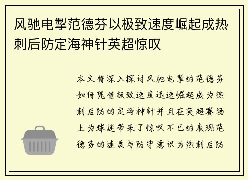 风驰电掣范德芬以极致速度崛起成热刺后防定海神针英超惊叹